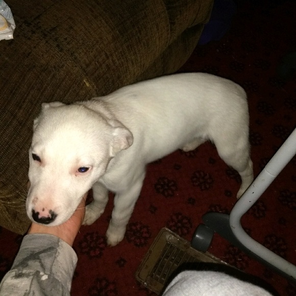 Meet your Posher, Michael - Picture 1 of 1